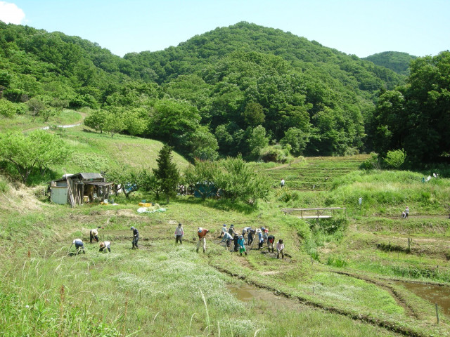 名古木の棚田